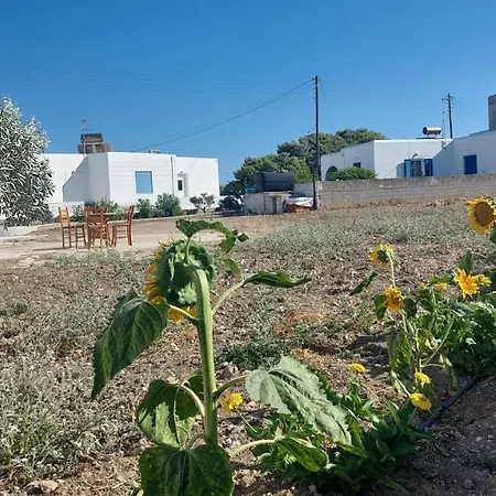 Saint Barbara Luxury Dhragoulas